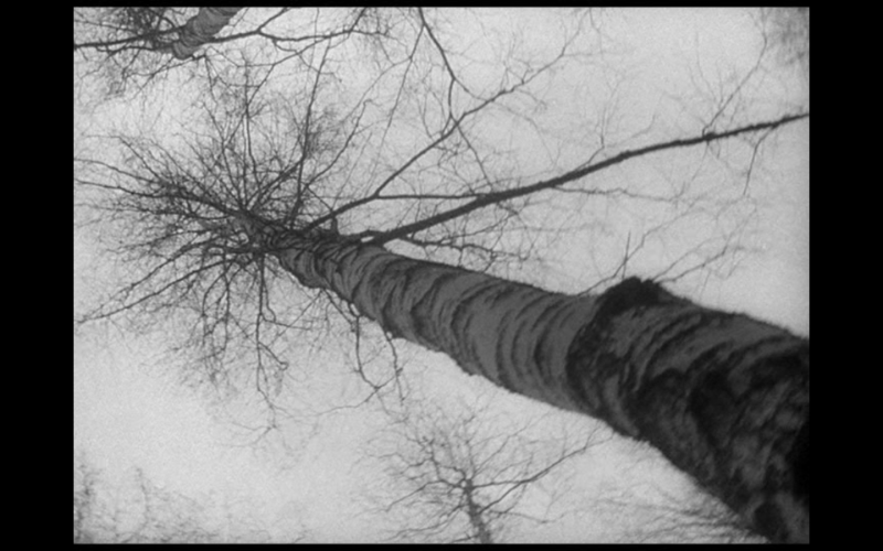 Mikhaïl Kalatozov, Quand passent les cigognes