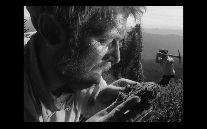 Image 10000001000005A0000003847A92F6A4.png