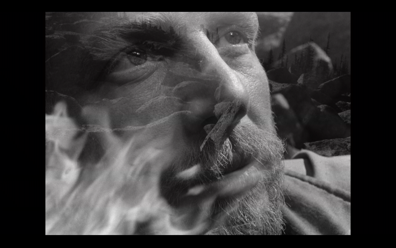 Mikhaïl Kalatozov, La Lettre inachevée