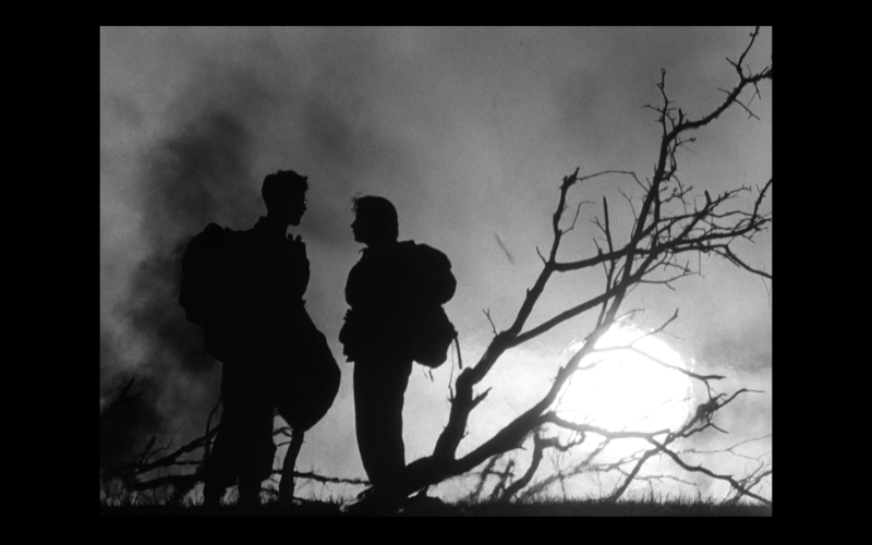 Image 10000001000005A000000384B2F561FD.png