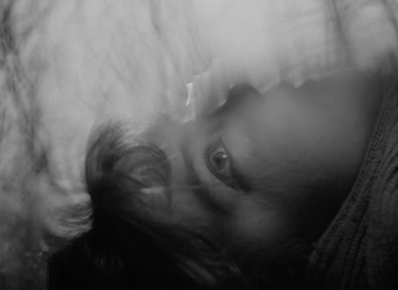 Image 100000000000056C000003F58D30840E.jpg