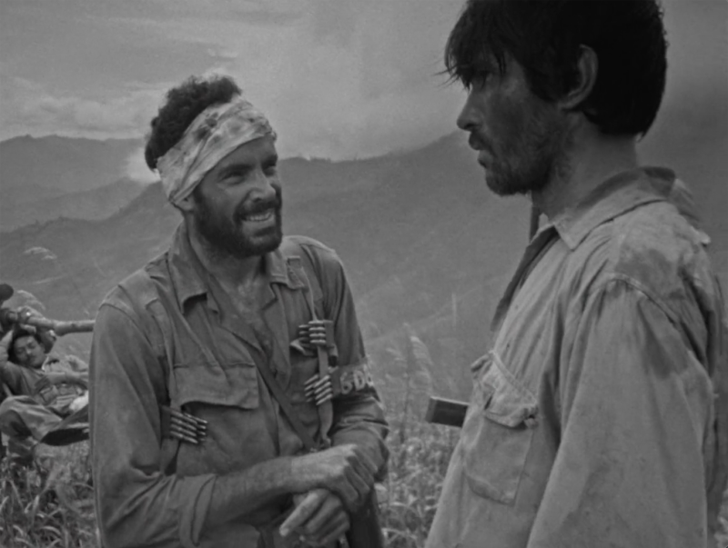 Image 100000010000056A000004153452040D.png