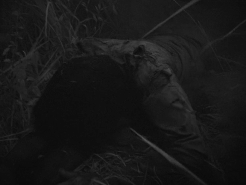 Image 100000010000056A0000041535412AE0.png