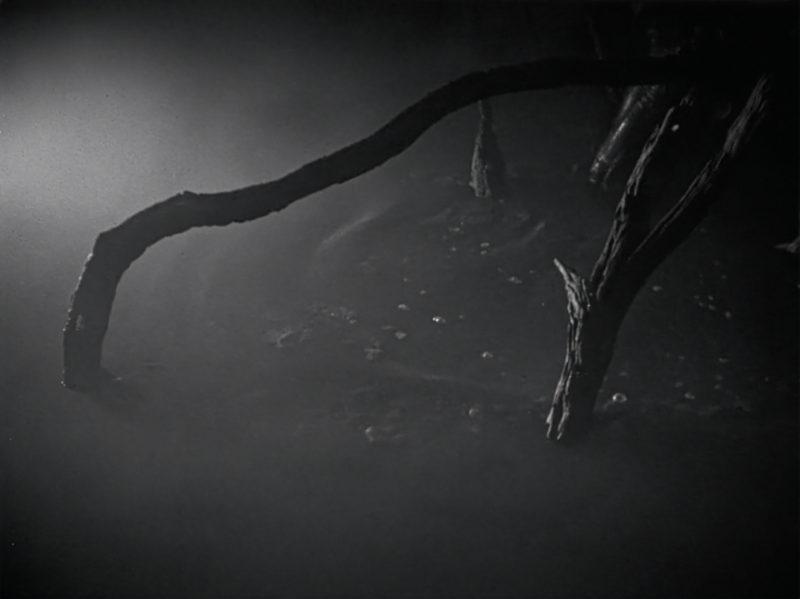 Image 100000010000056A0000040FEF34DE8D.png