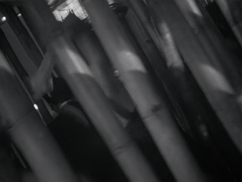 Image 100000010000056A000004113FACBE76.png