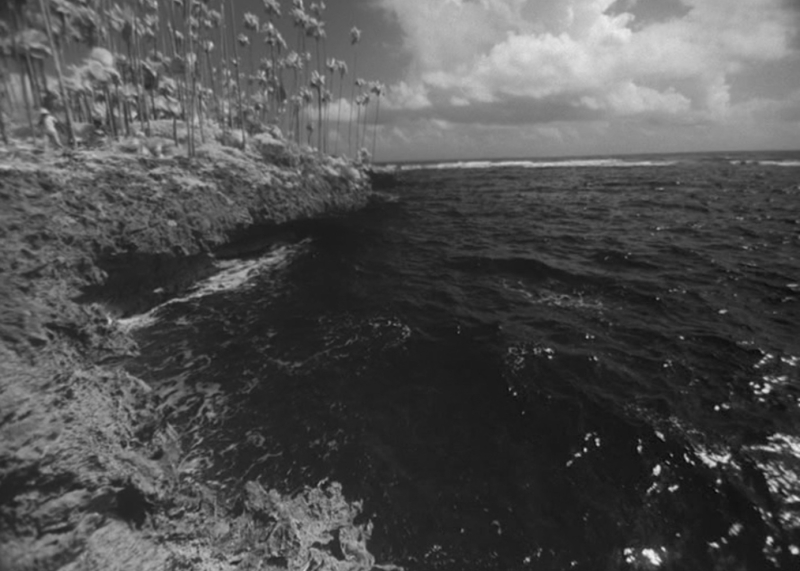 Image 100000000000056B000003DF02E48353.jpg