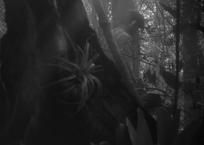 Image 100000000000056B000003DF3B0A7EF6.jpg