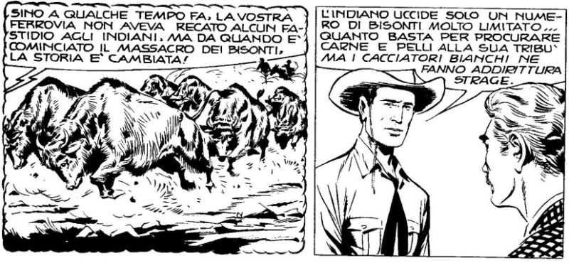 Image 100000000000033C0000017FC4223C0E.jpg