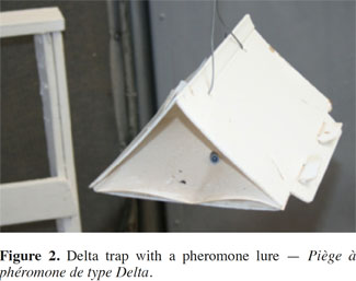 images2