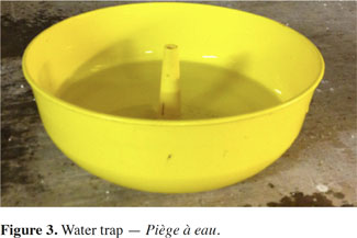 images3
