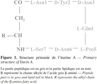 images1