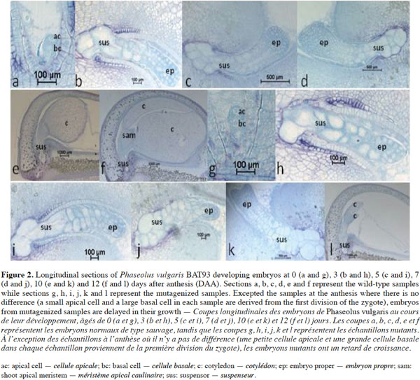 images2