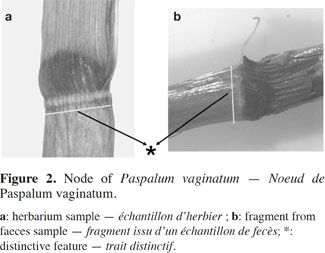 images2