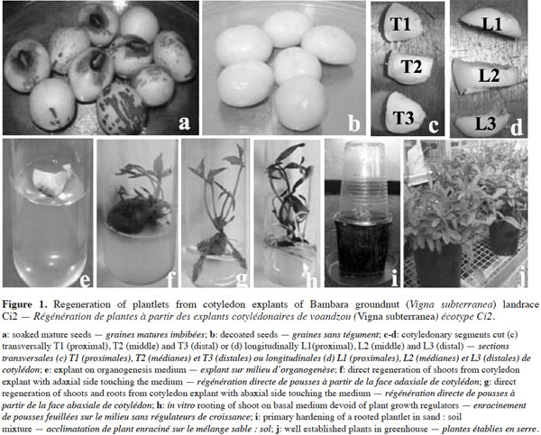 images2