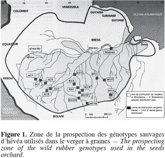 Image1