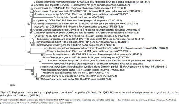 Image3