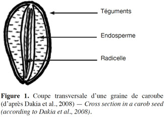 Image2