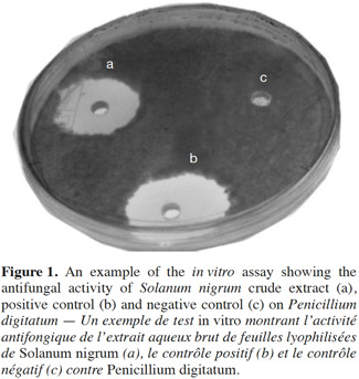 Image3