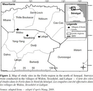 Image2