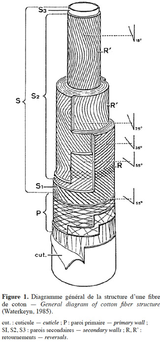 Image1