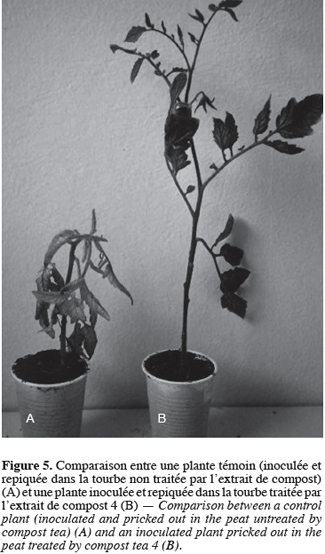 Image10