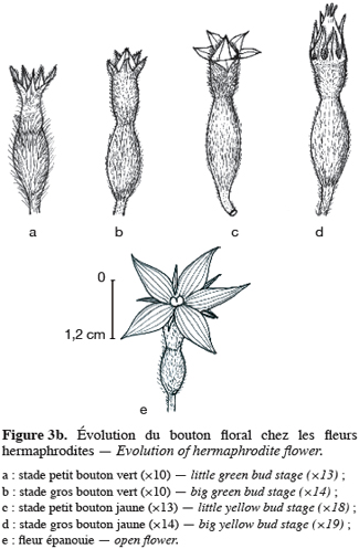 Image8