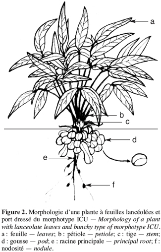 Image2