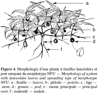 Image4