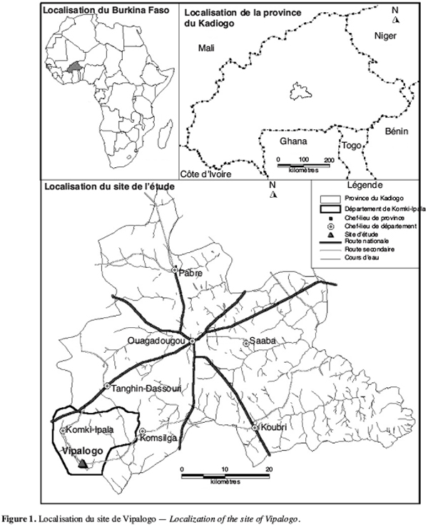 Image1