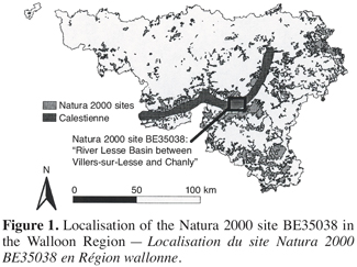 Image1