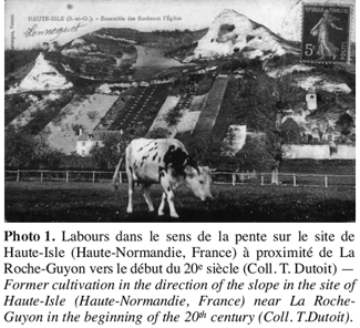 Image1