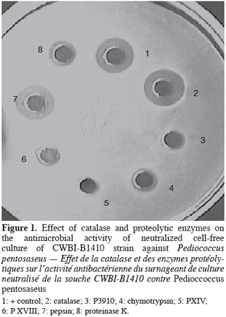 Image3