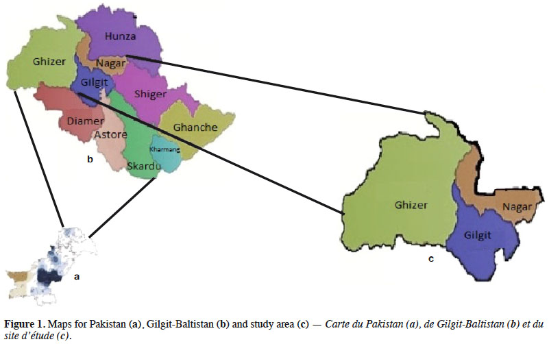 Image 1000000000000321000001F6A26BA81C3FFBC140.jpg