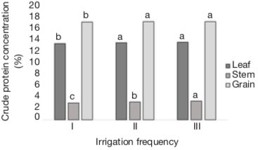 Image 100000000000016F000000D6FA2AFB89342FBCB7.jpg