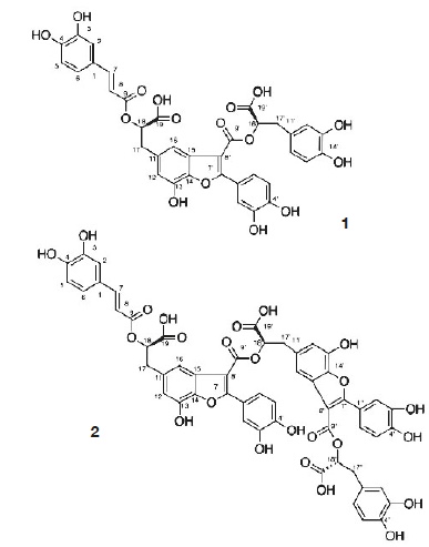 Image 1000000000000183000001ED477AD60B12126AC4.jpg