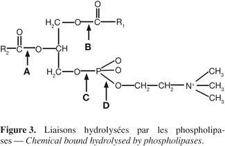 Image3
