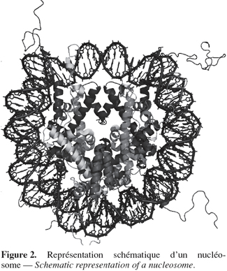Image2
