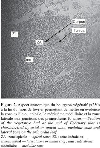 Image2