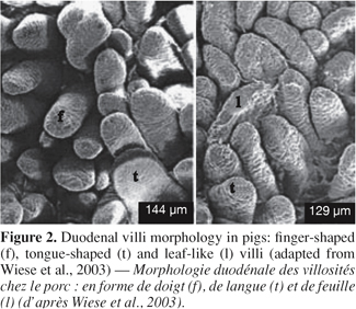Image2