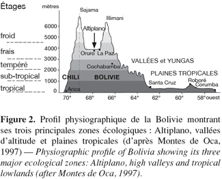 Image2