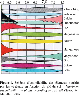 Image2