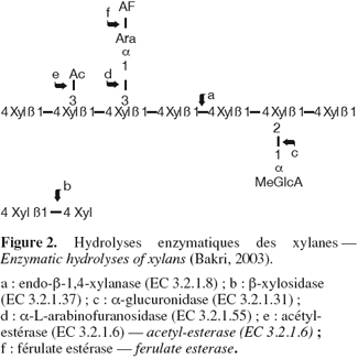 Image2