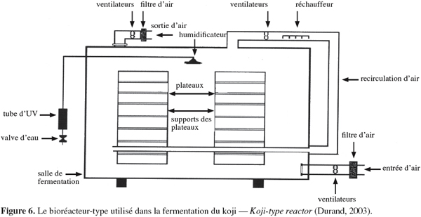 Image8
