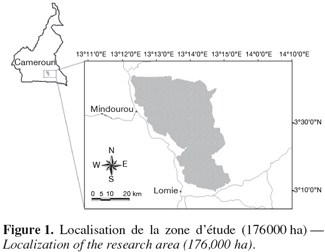 Image1