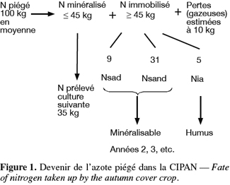 Image8