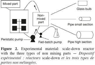 Image2