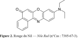 Image2