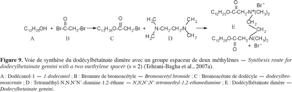 Image11