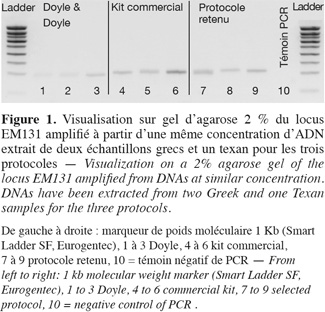 Image2