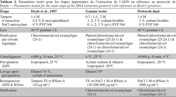 Image3